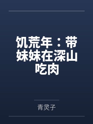 德意志·施密特传封面