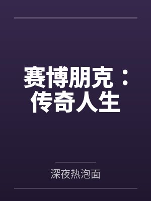 迷踪谍影封面