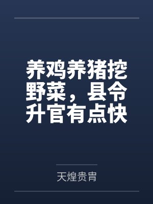 当维修工的日子封面
